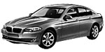 BMW F10 C1212 Fault Code